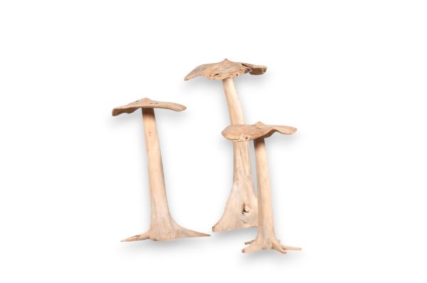 Afbeelding van PADDENSTOELEN SET / 3